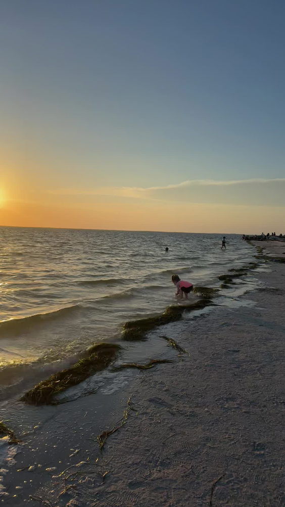 Fred Howard Park Beach