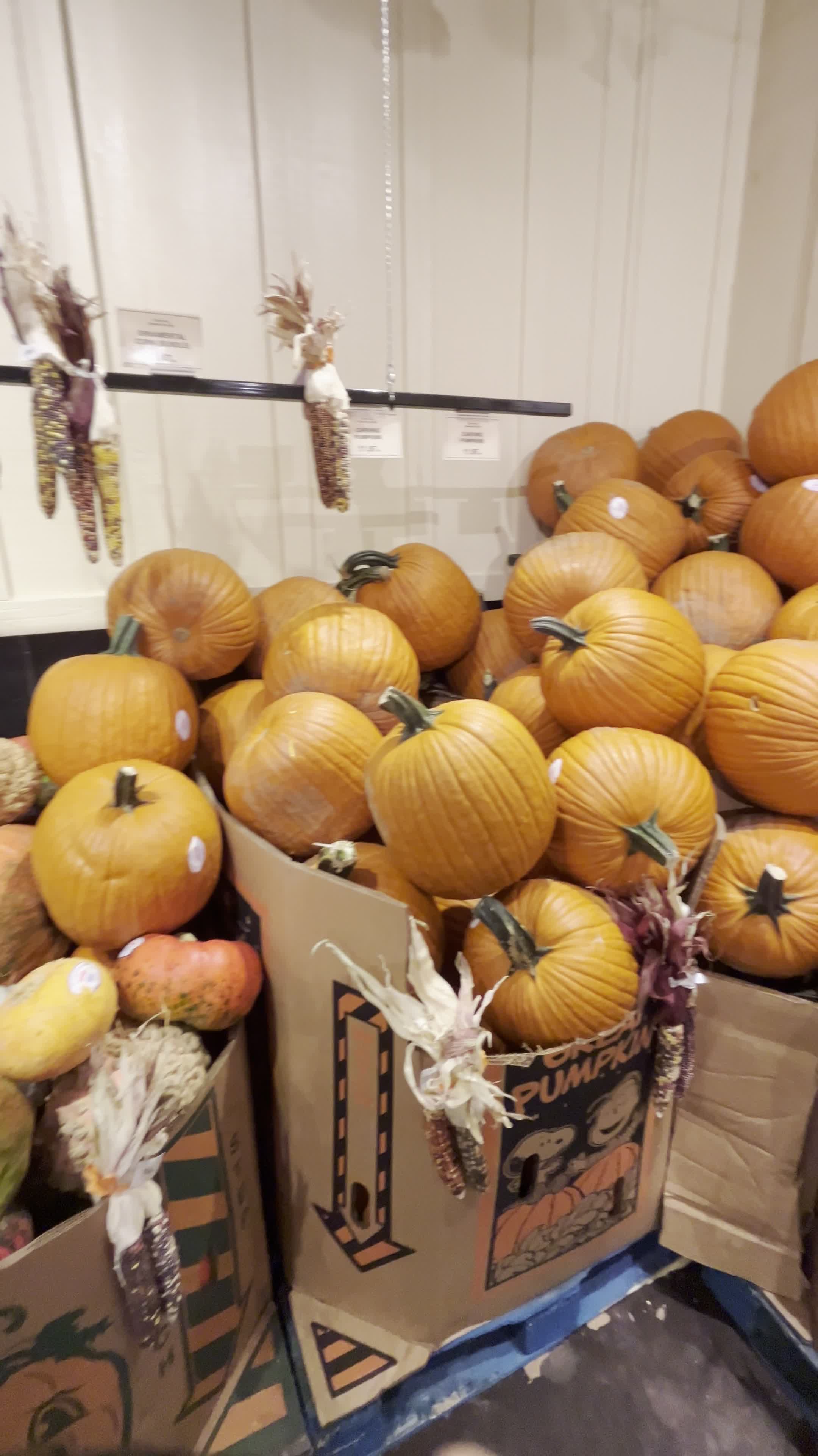Freshfields Farm