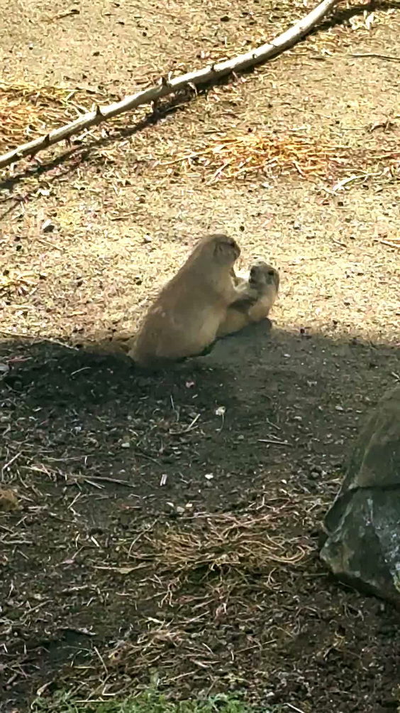 Minnesota Zoo