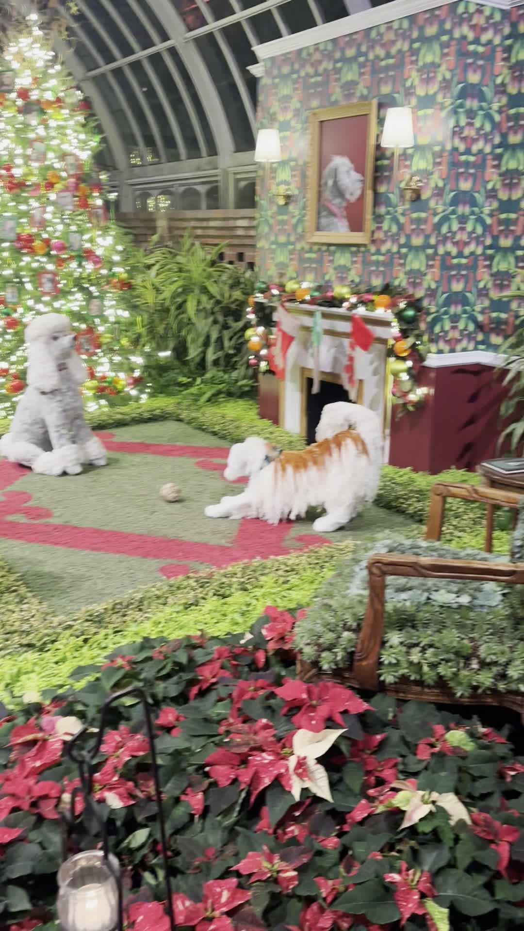 Video review of Phipps Conservatory and Botanical Gardens