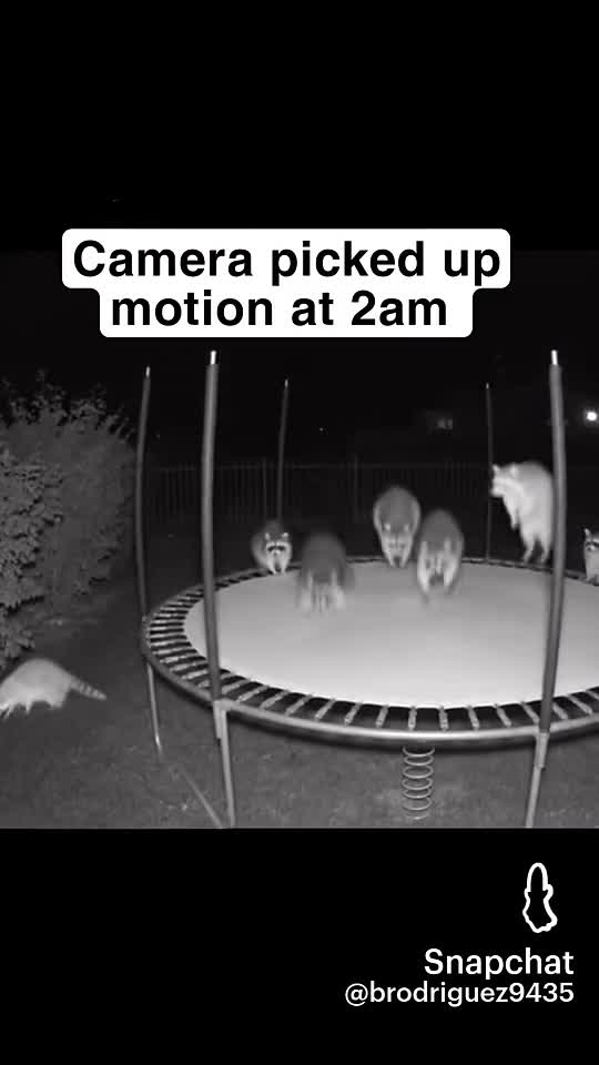 Video review of Idaho Falls Public Library