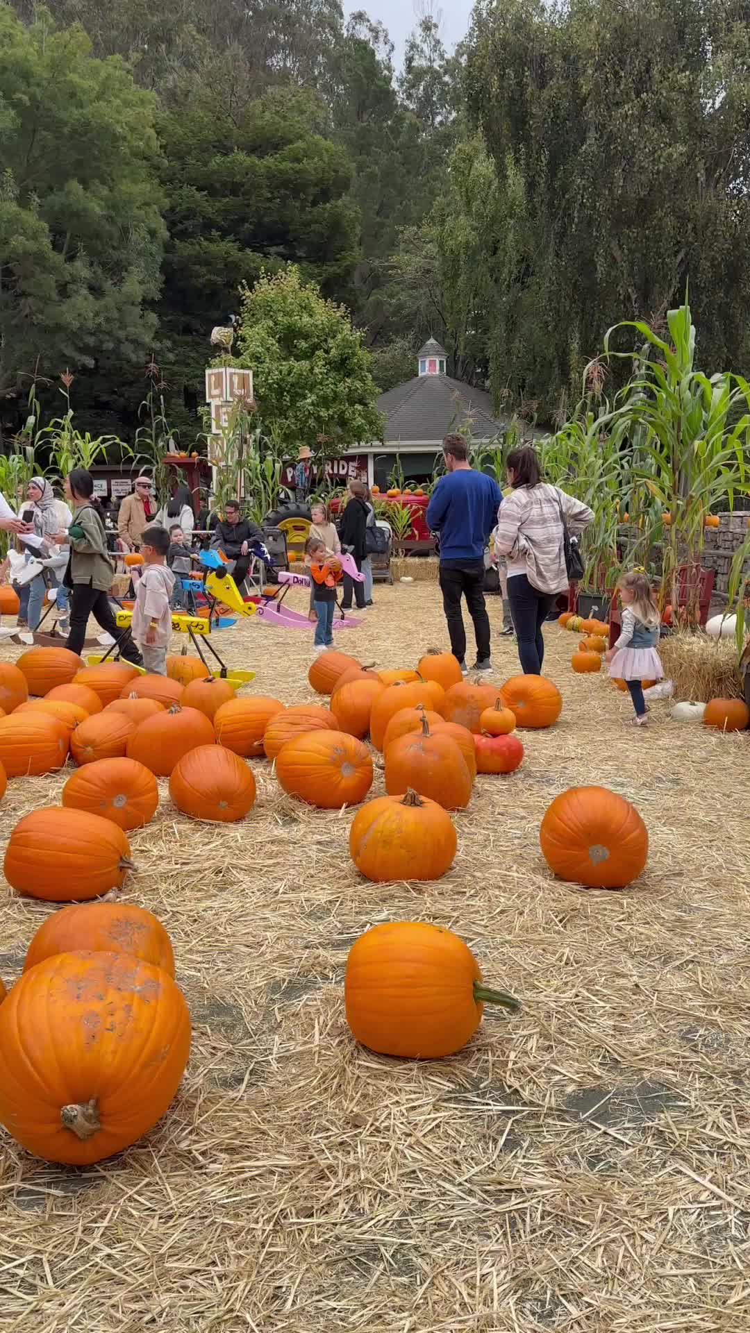 Lemos Farm