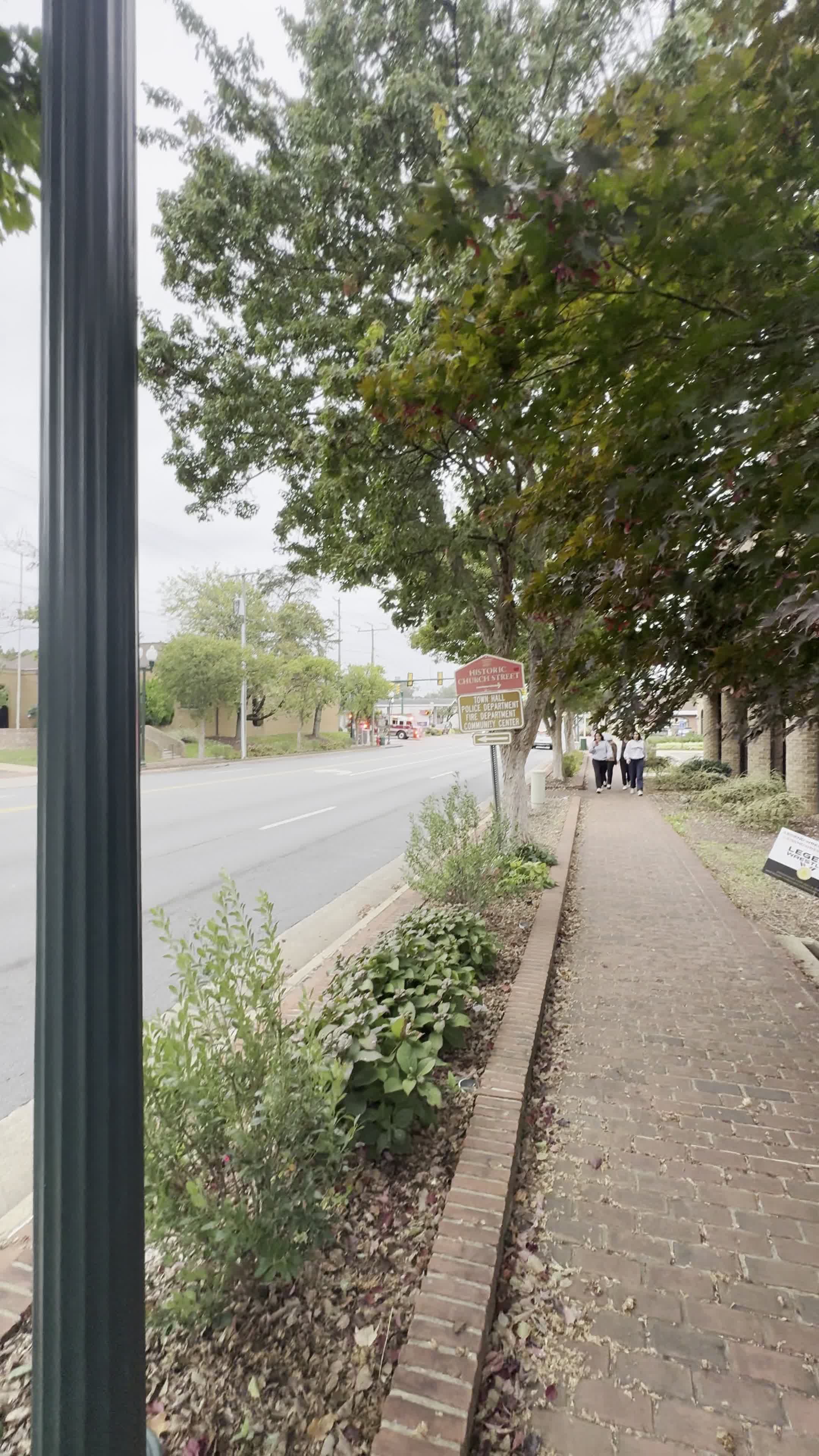 Video review of Vienna Inn