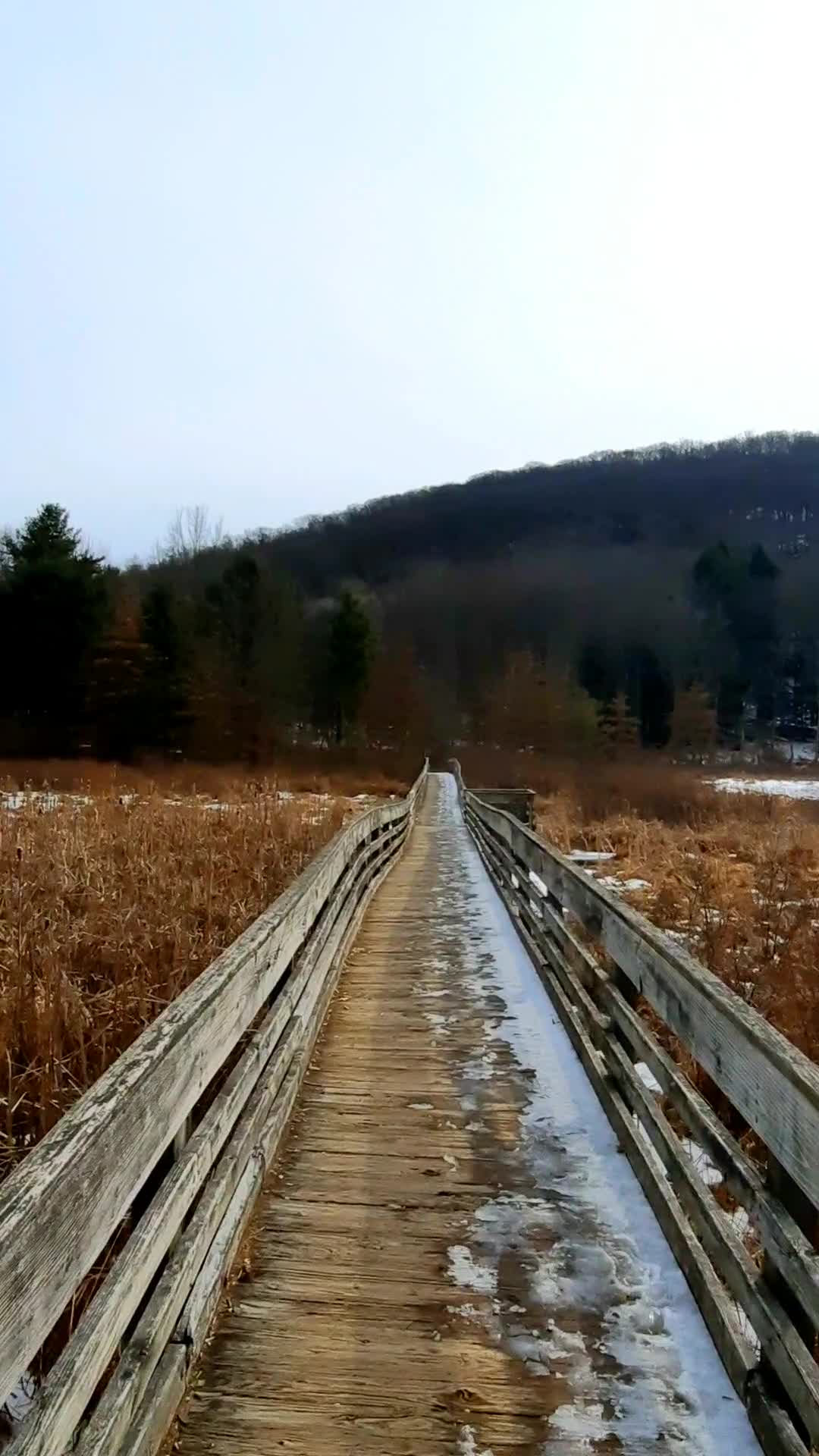 Nature Preserve