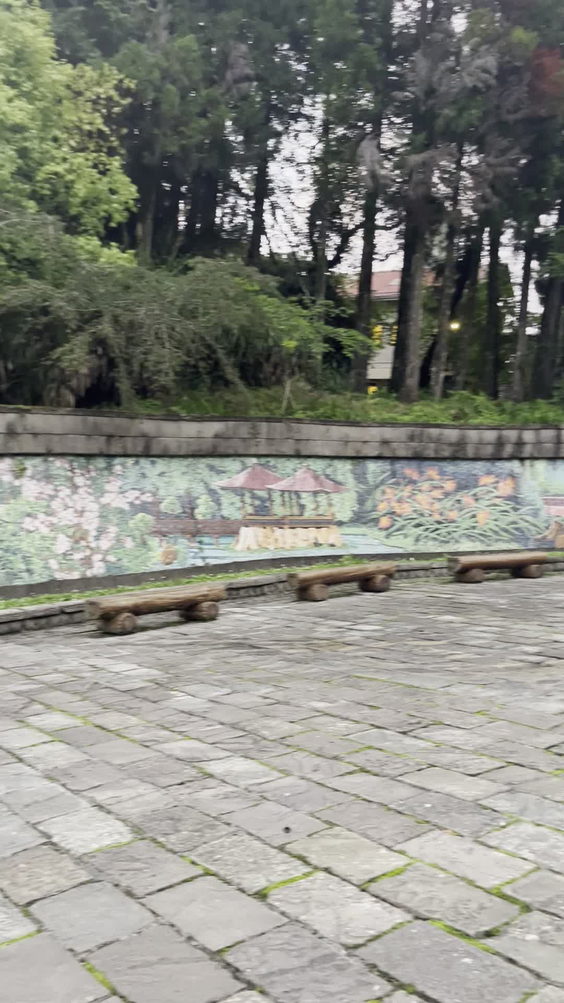 阿里山 Alishan