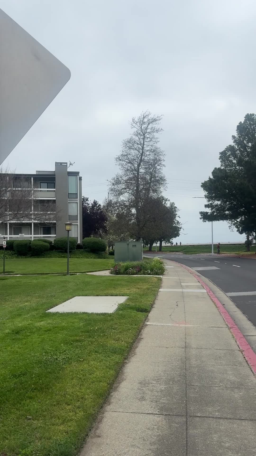 M House Cleaning Services