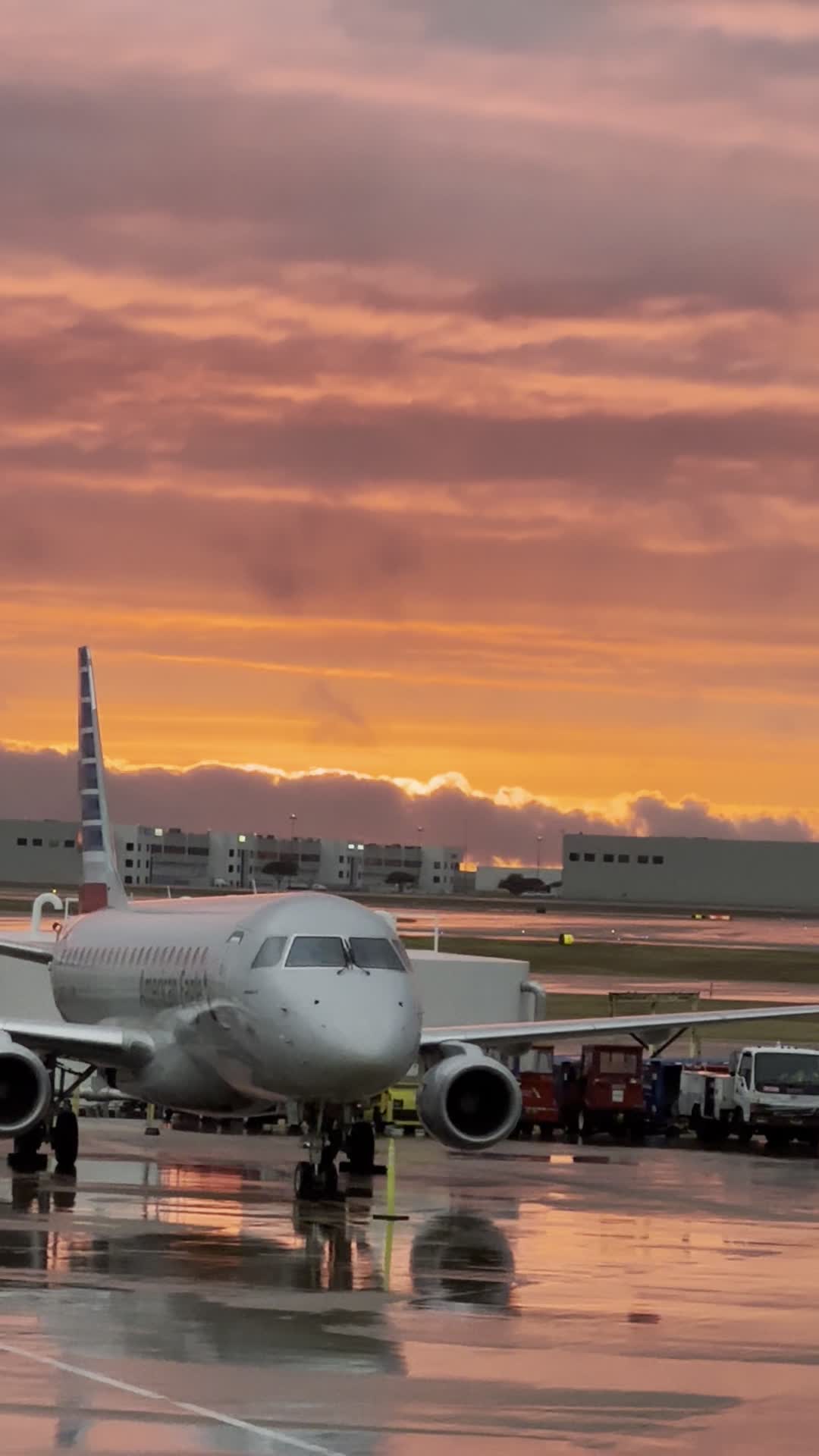 Video review of Skylink