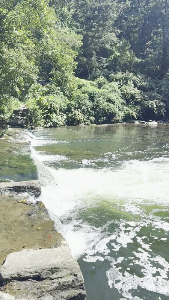 Wissahickon Park