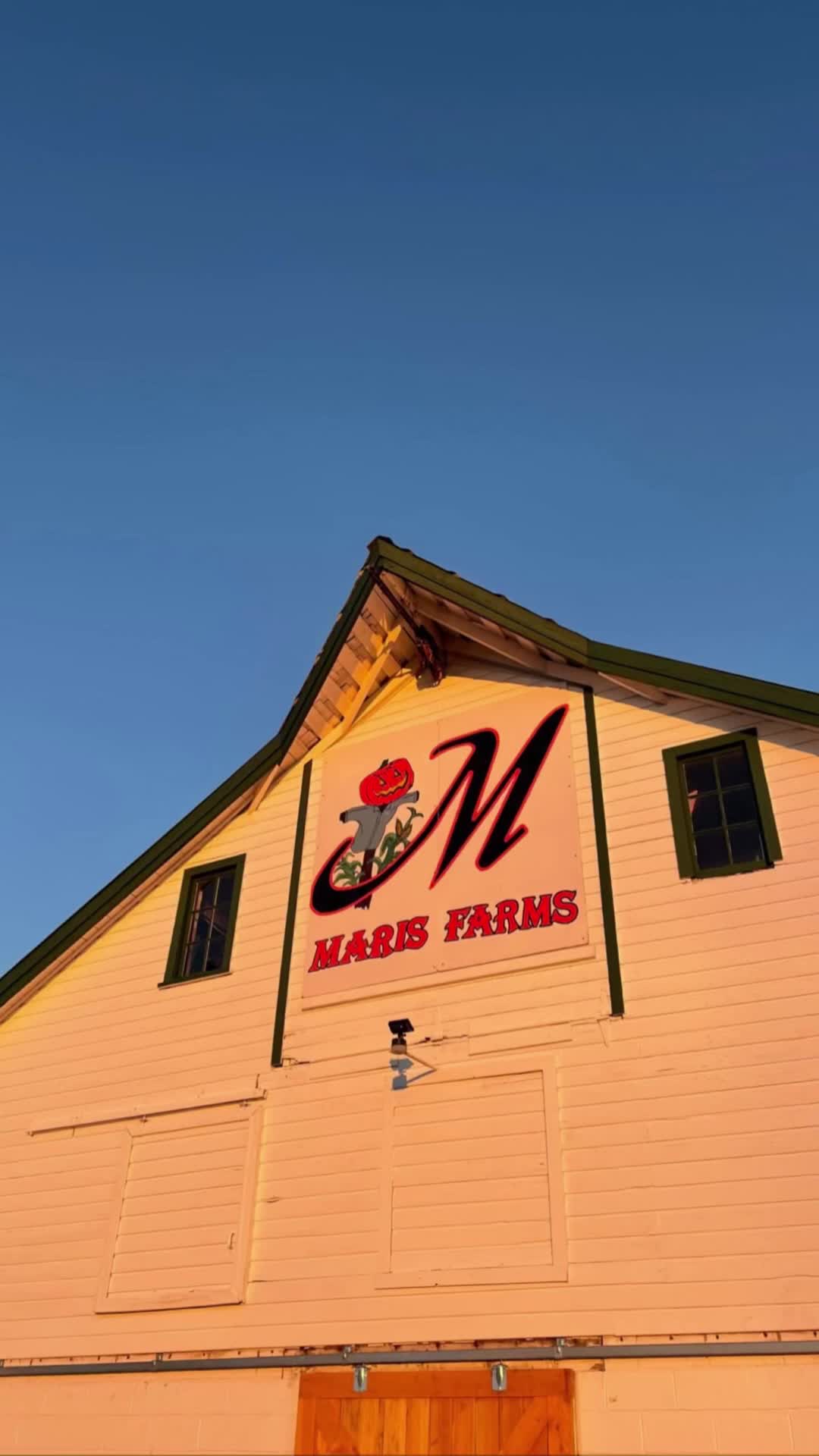 Video review of Maris Farms