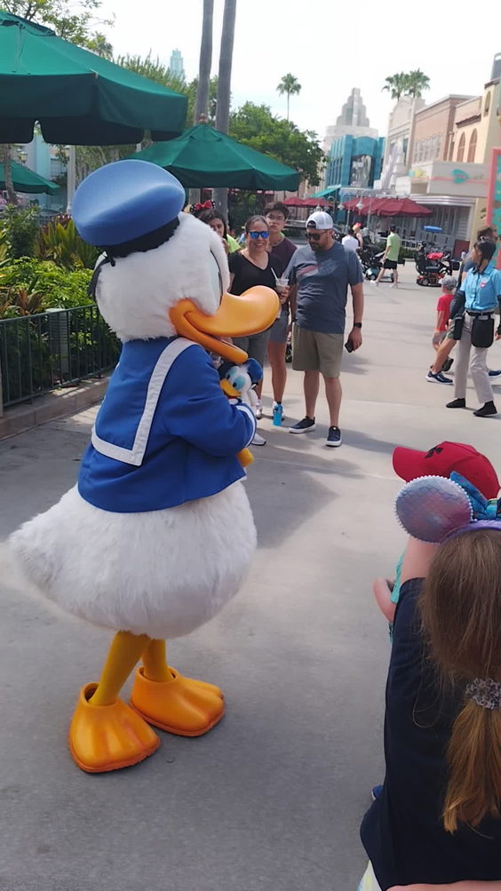 Walt Disney World Resort