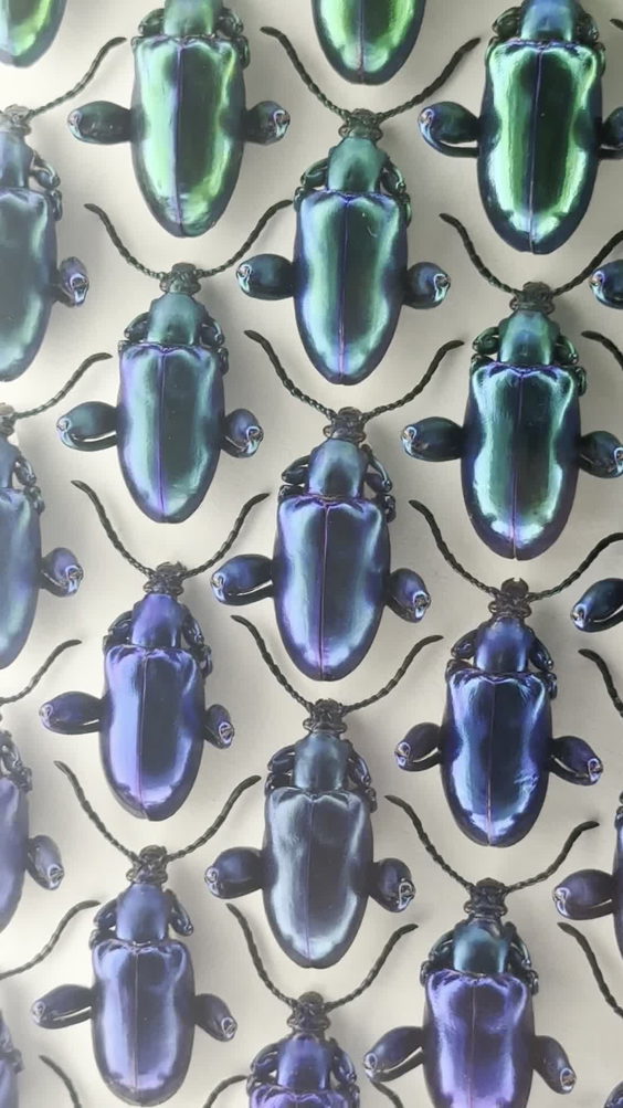 Exquisite Creatures