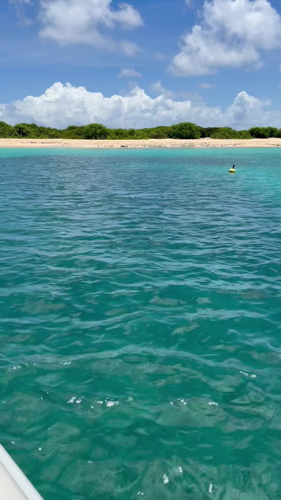 Tintamarre Island
