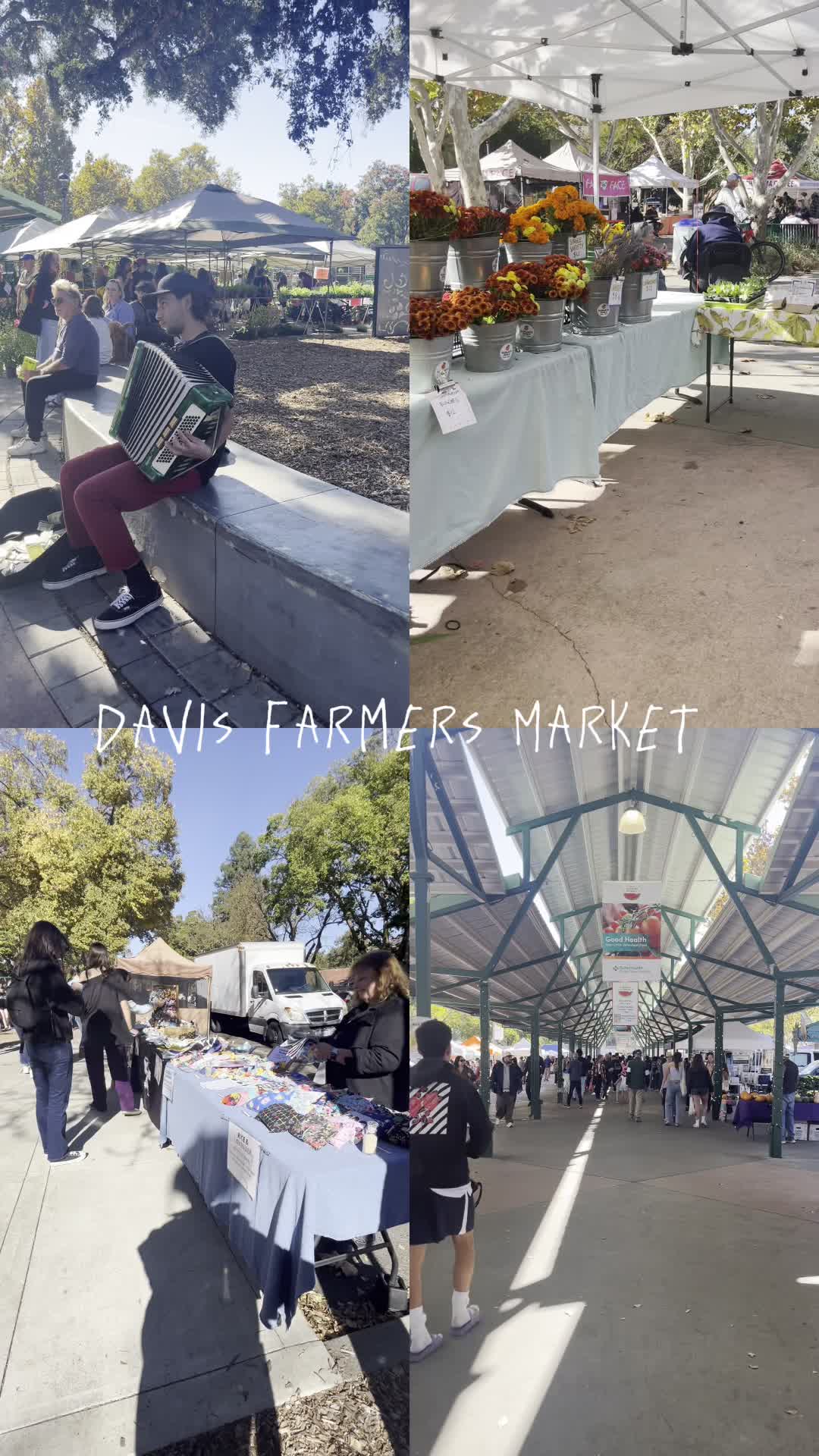 Davis Farmers Market