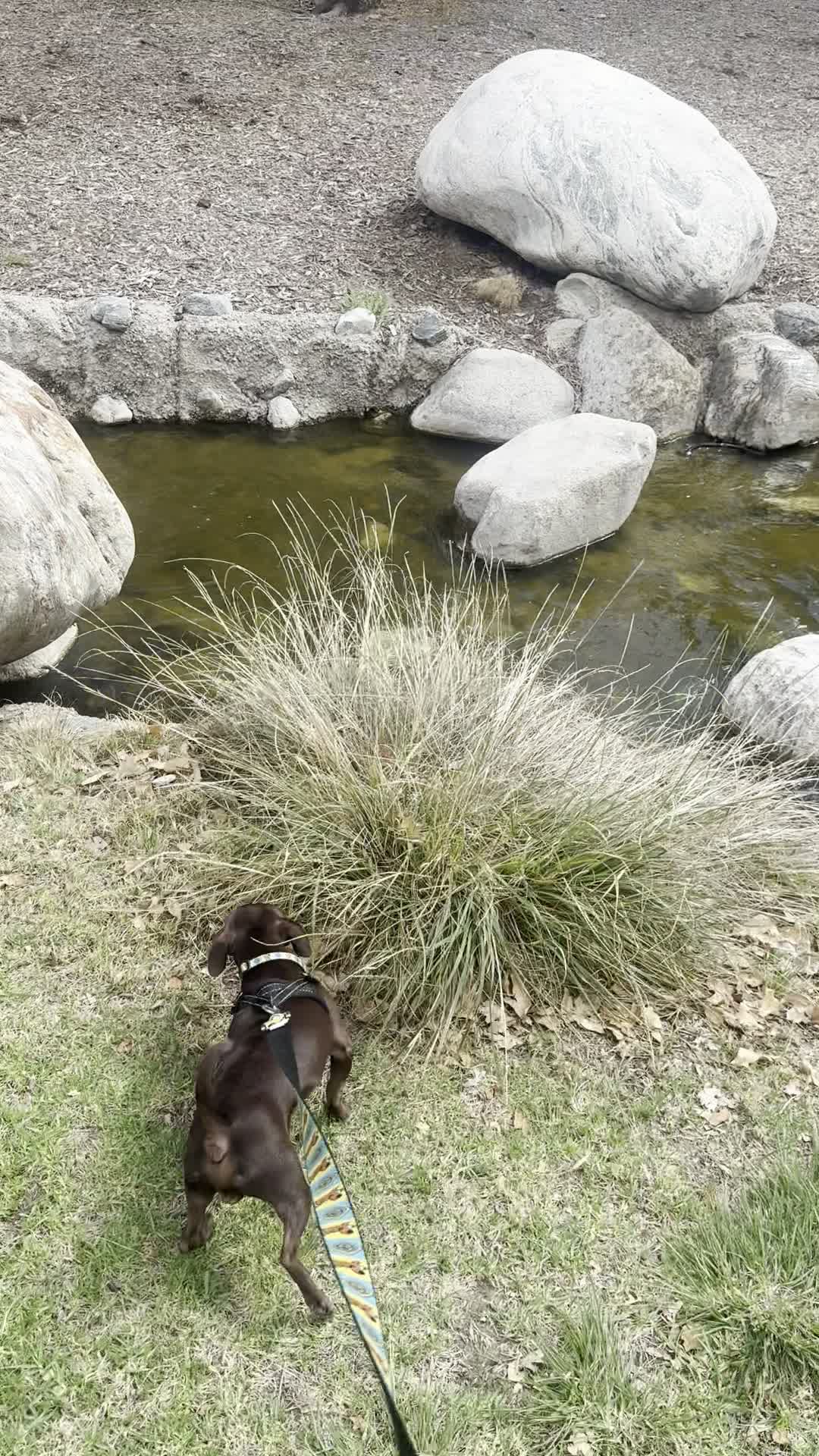 Conejo Creek North Park & Playground