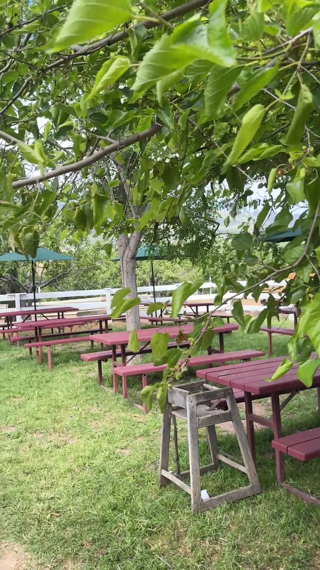 Gizdich Ranch