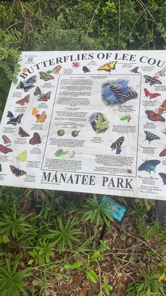 Manatee Springs State Park