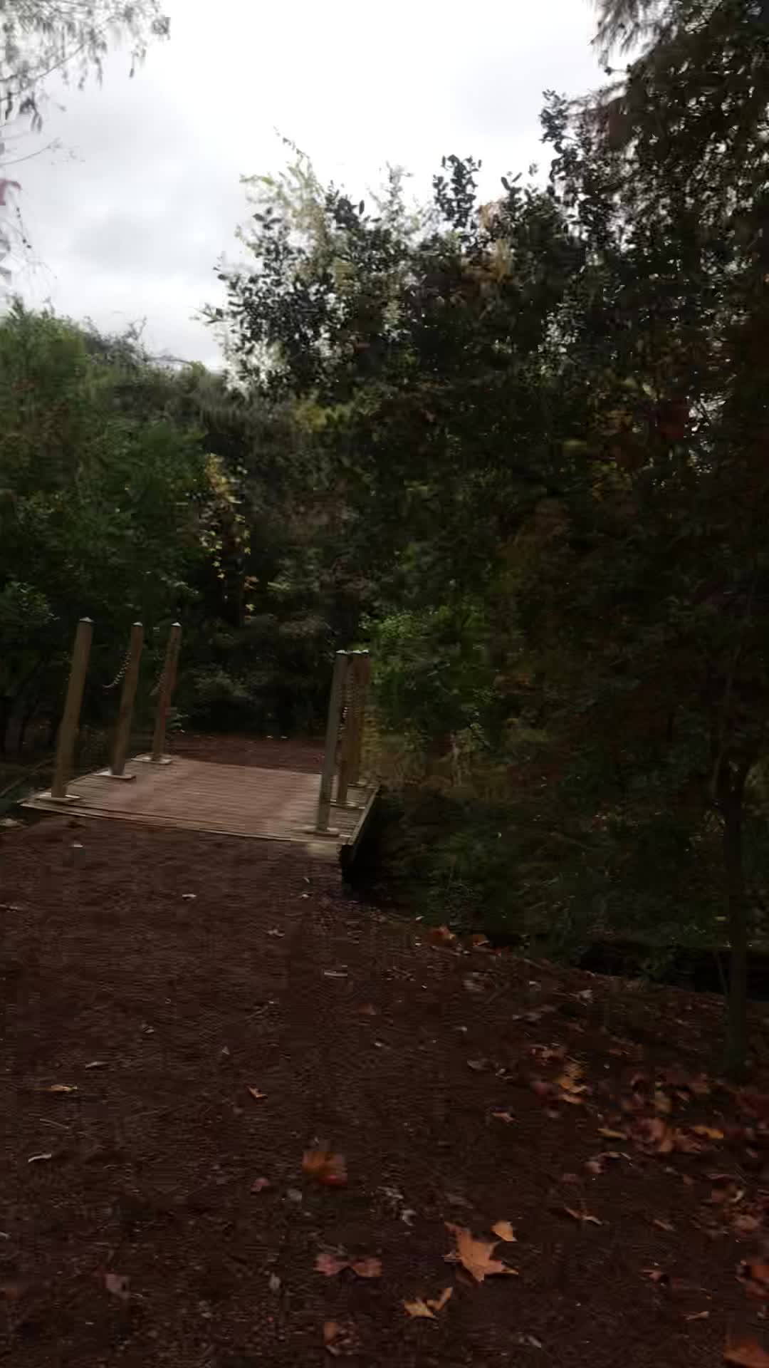 San Antonio Botanical Garden