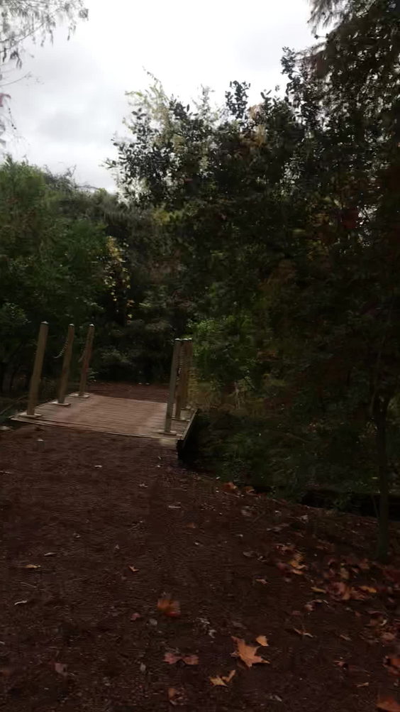 San Antonio Botanical Garden