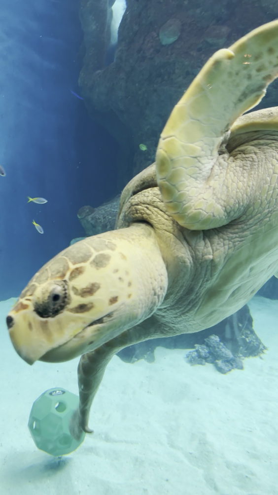 The Florida Aquarium