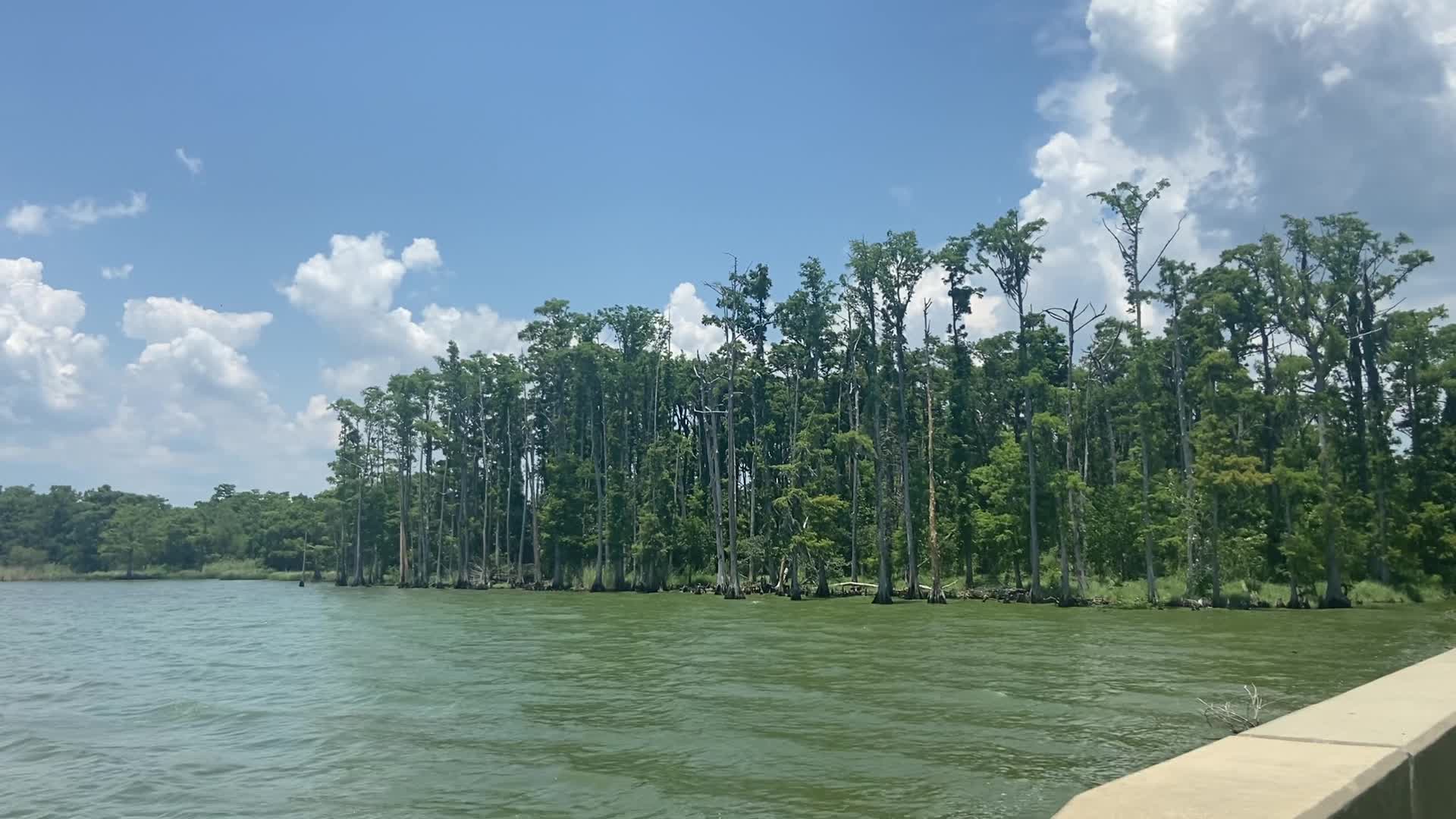 Mandeville Lakefront