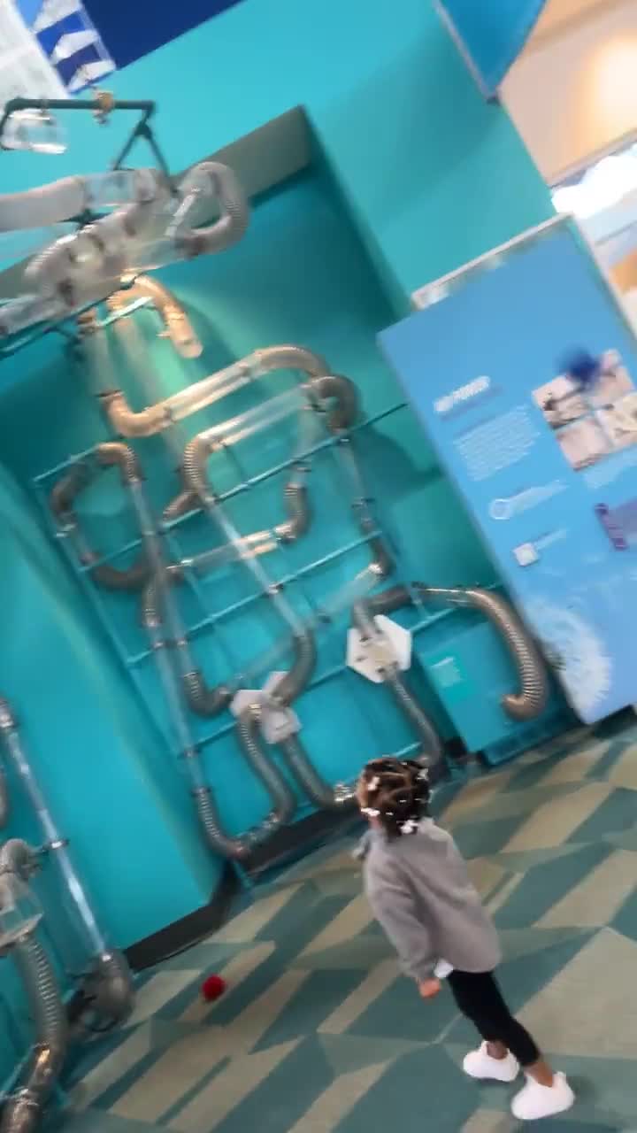 Sloan Museum Auto Fair