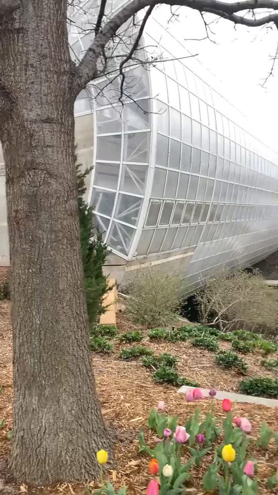 Myriad Botanical Gardens