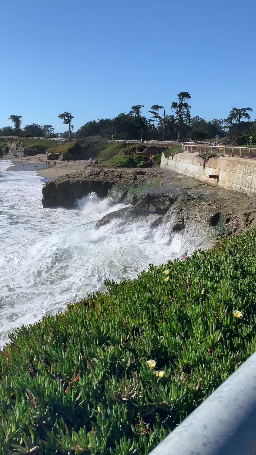 The Lighthouse-West Cliff Drive