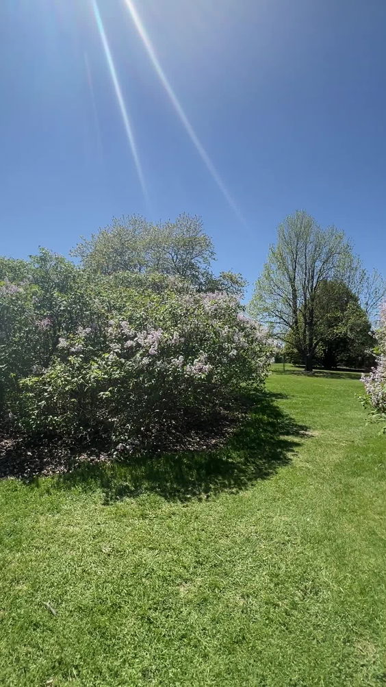 UW Arboretum