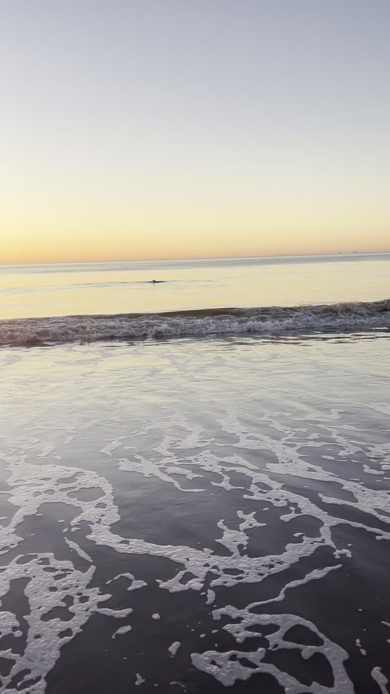 Tybee Beach