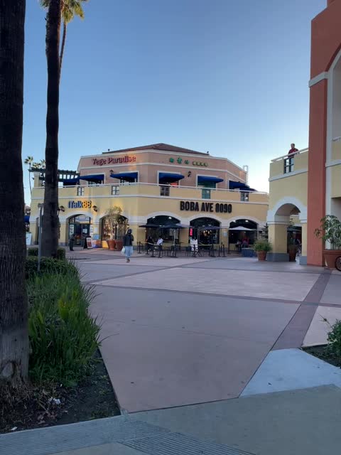 Video review of Boba Ave 8090