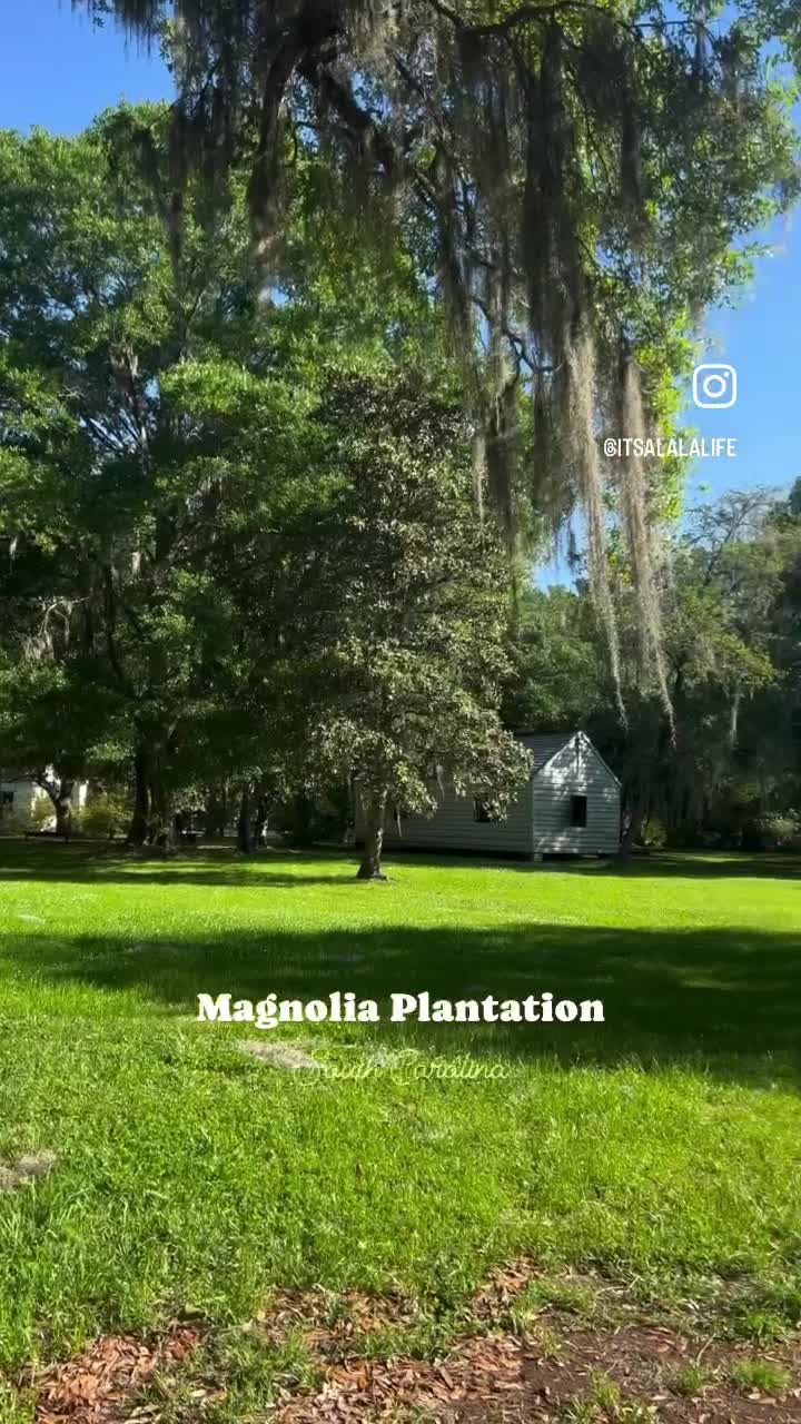 Video review of Magnolia Plantation & Gardens