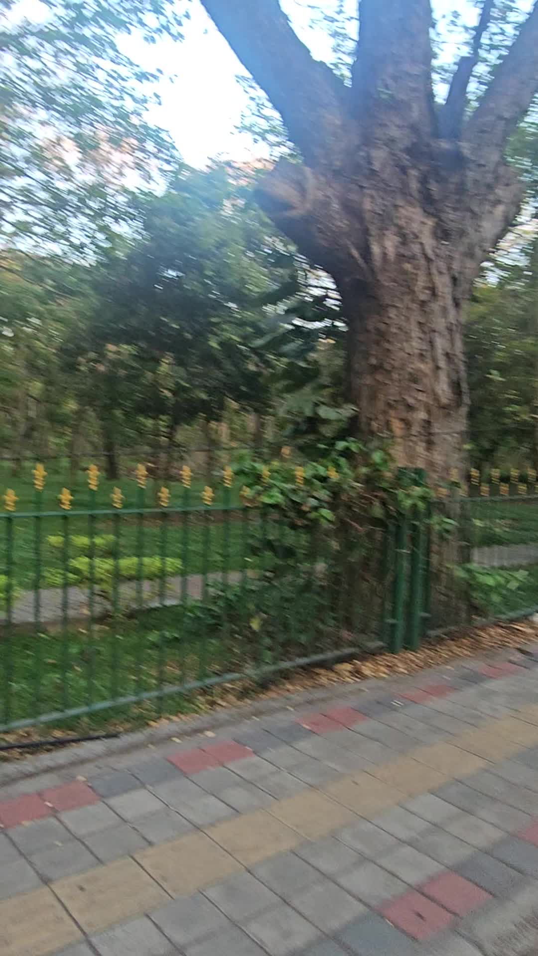 Video review of Cubbon Park