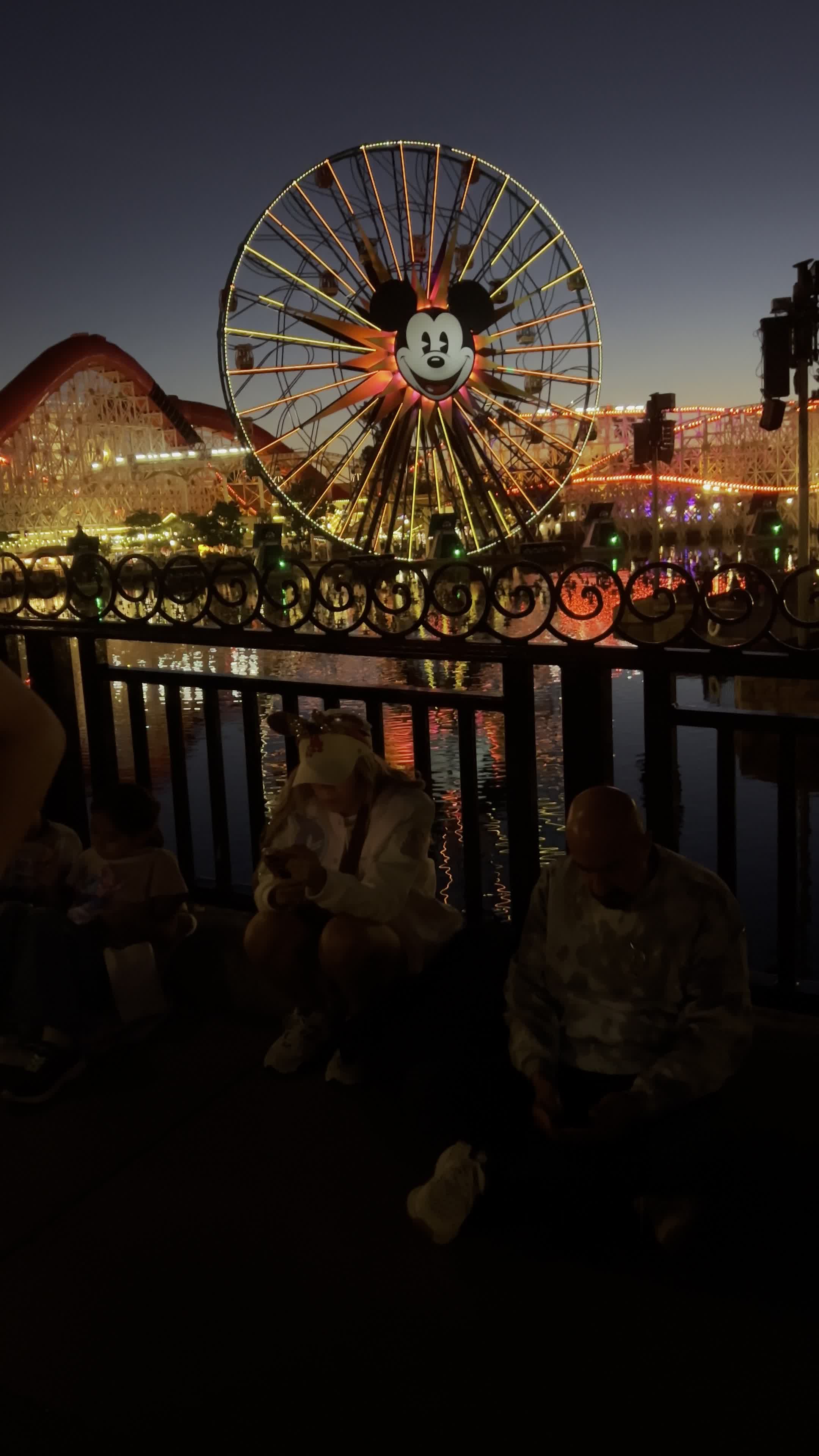 Disneyland Park