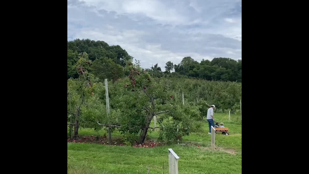 Cider Hill Farms