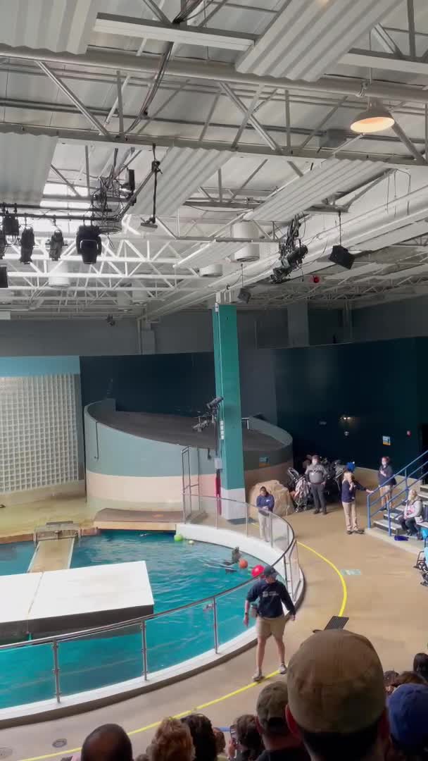 Video review of Mystic Aquarium