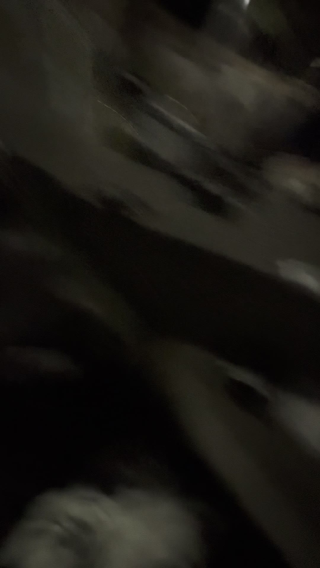 Lake Havasu State Park