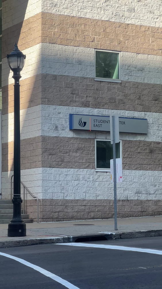 Georgia State University