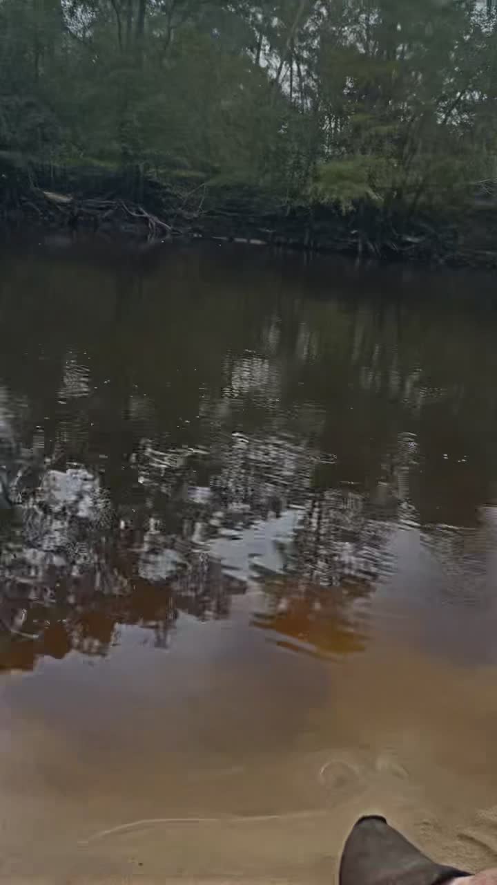 Ohoopee River Brewing Company