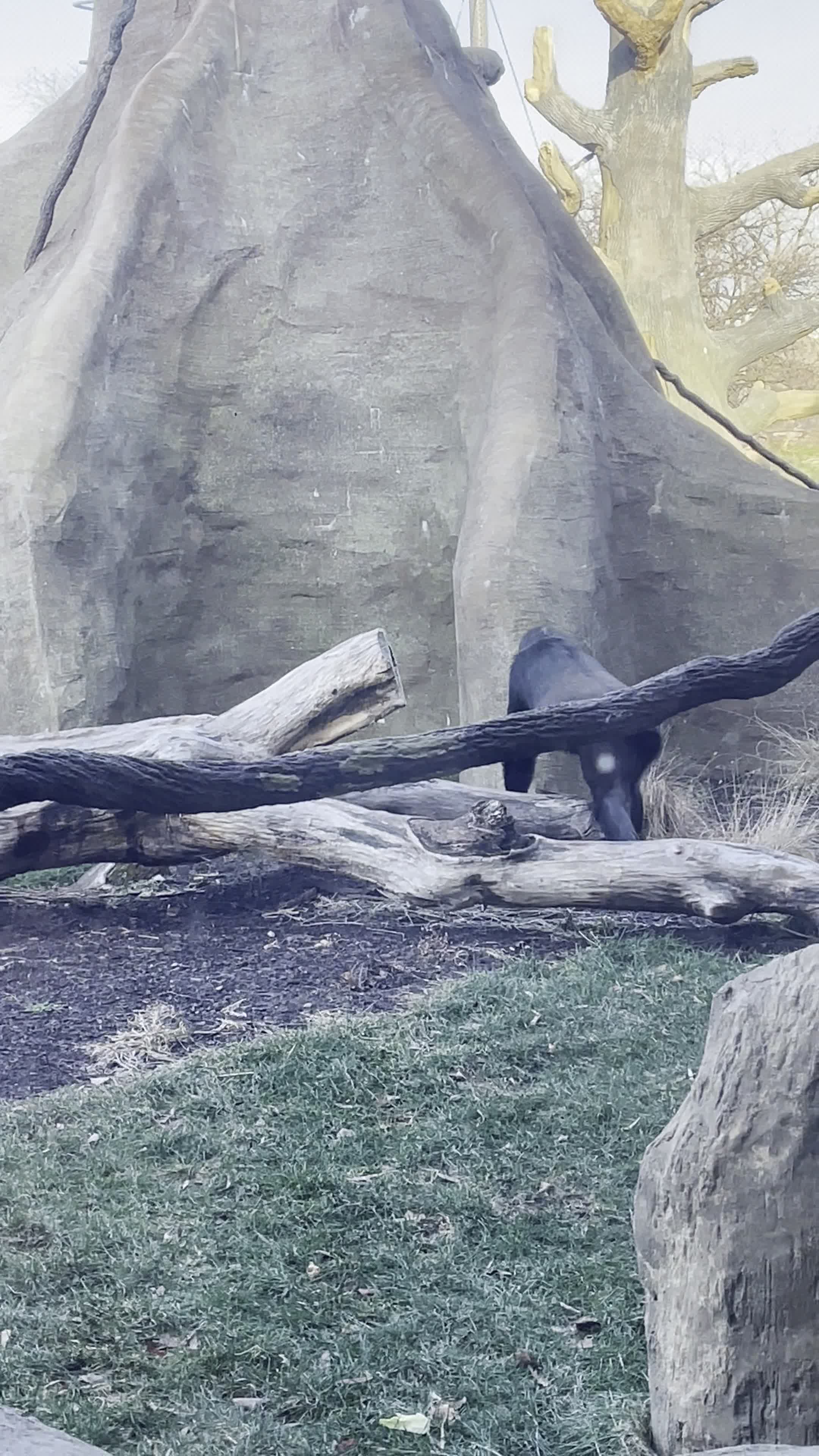Brookfield Zoo