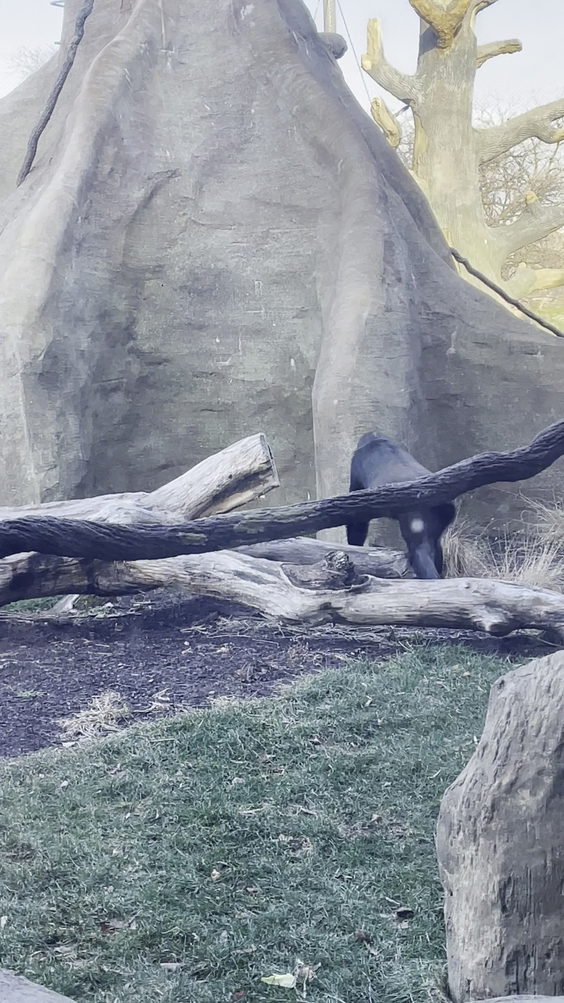 Brookfield Zoo