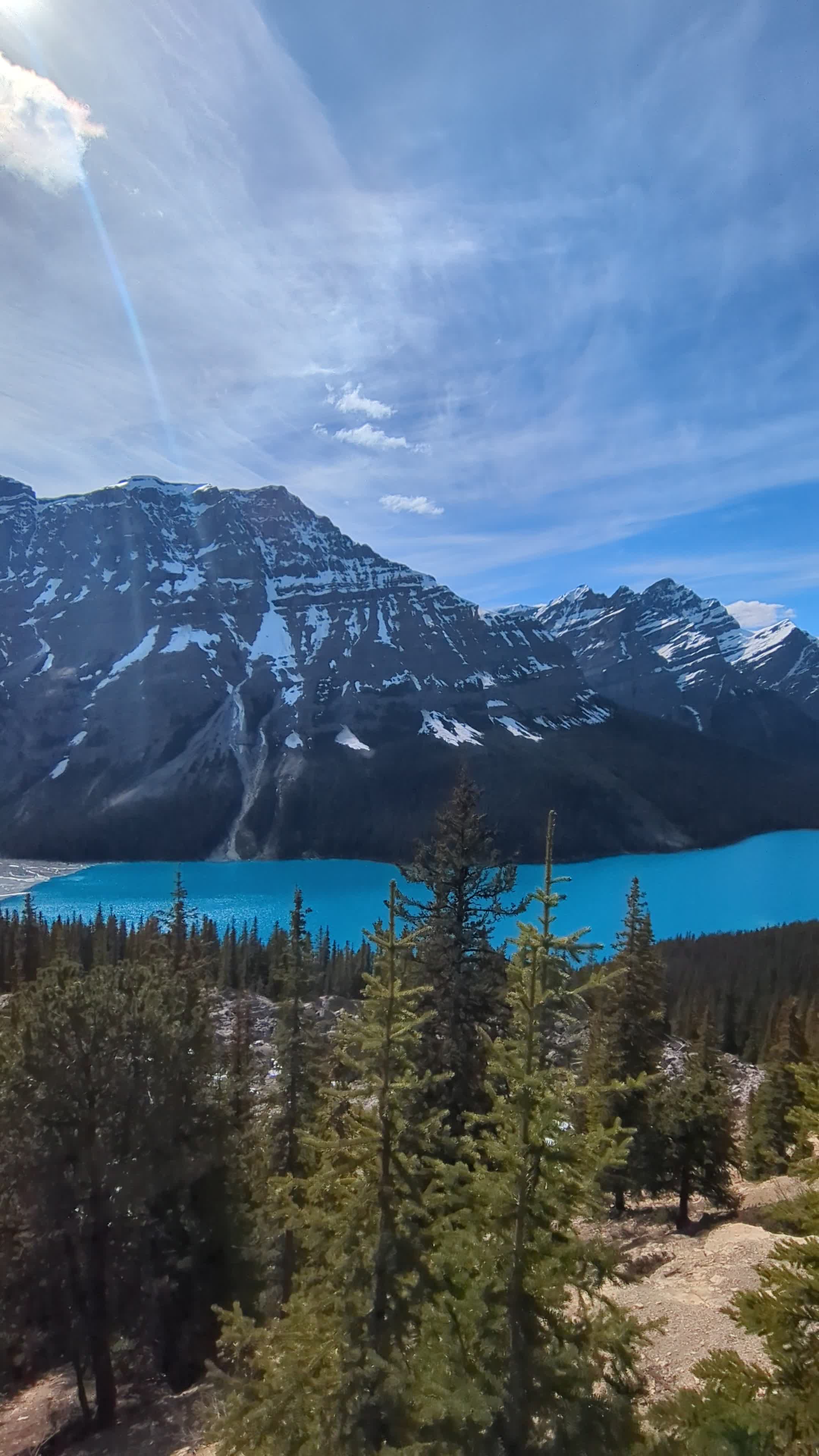 Peyto lake