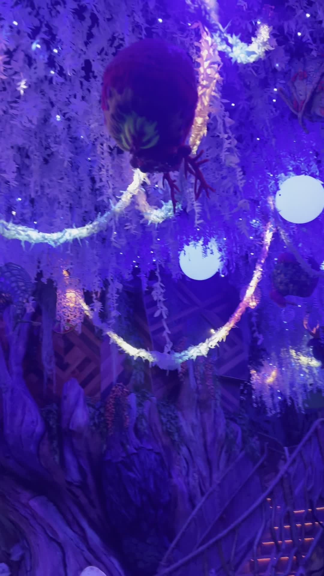 Meow Wolf Grapevine | The Real Unreal