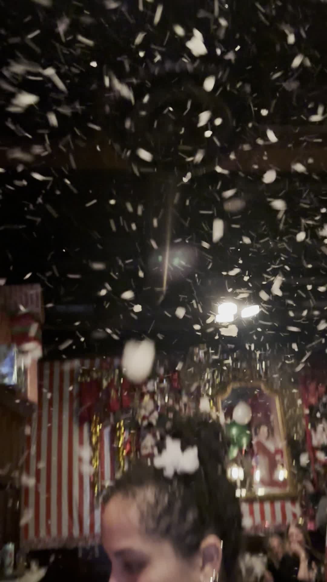 Video review of The Snug