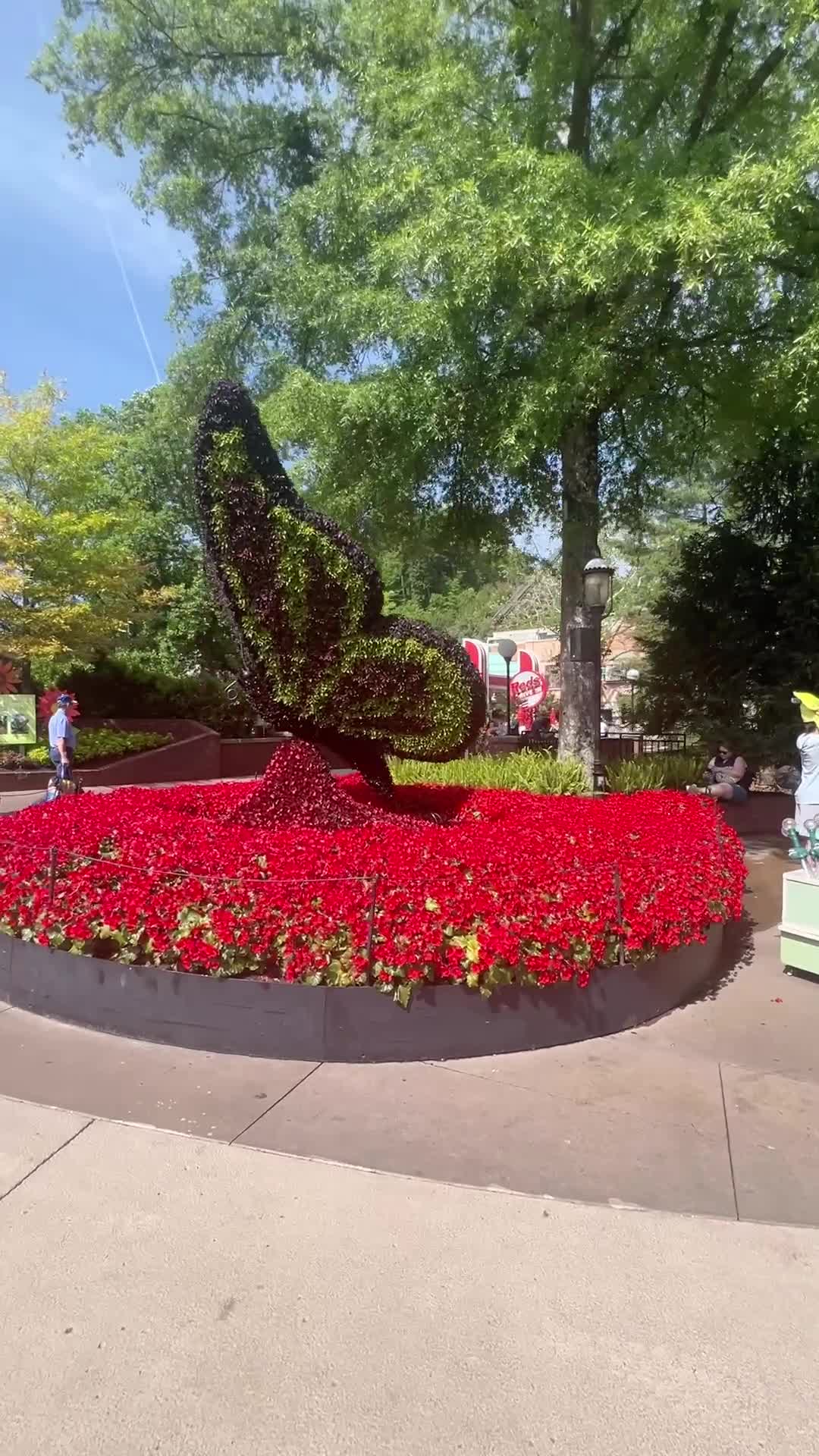Dollywood