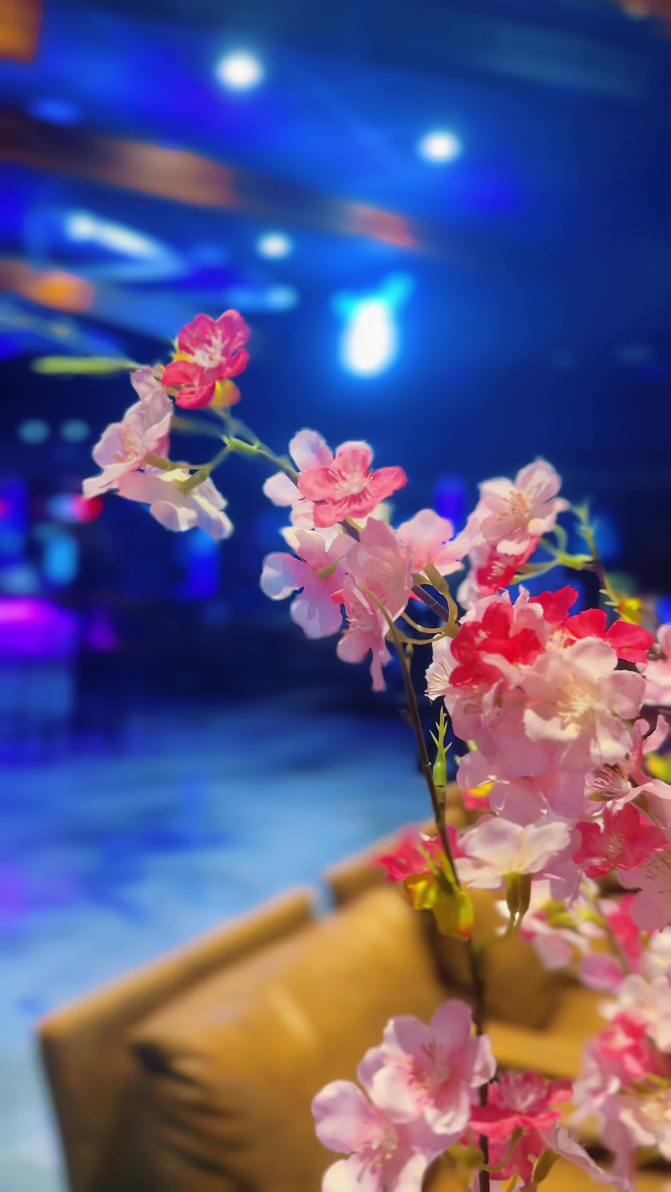 Izakaya Anime Bar & Restaurant