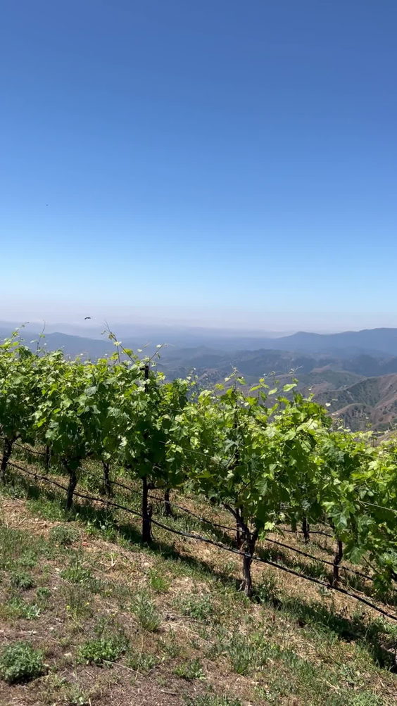 Ojai Mountain Winery