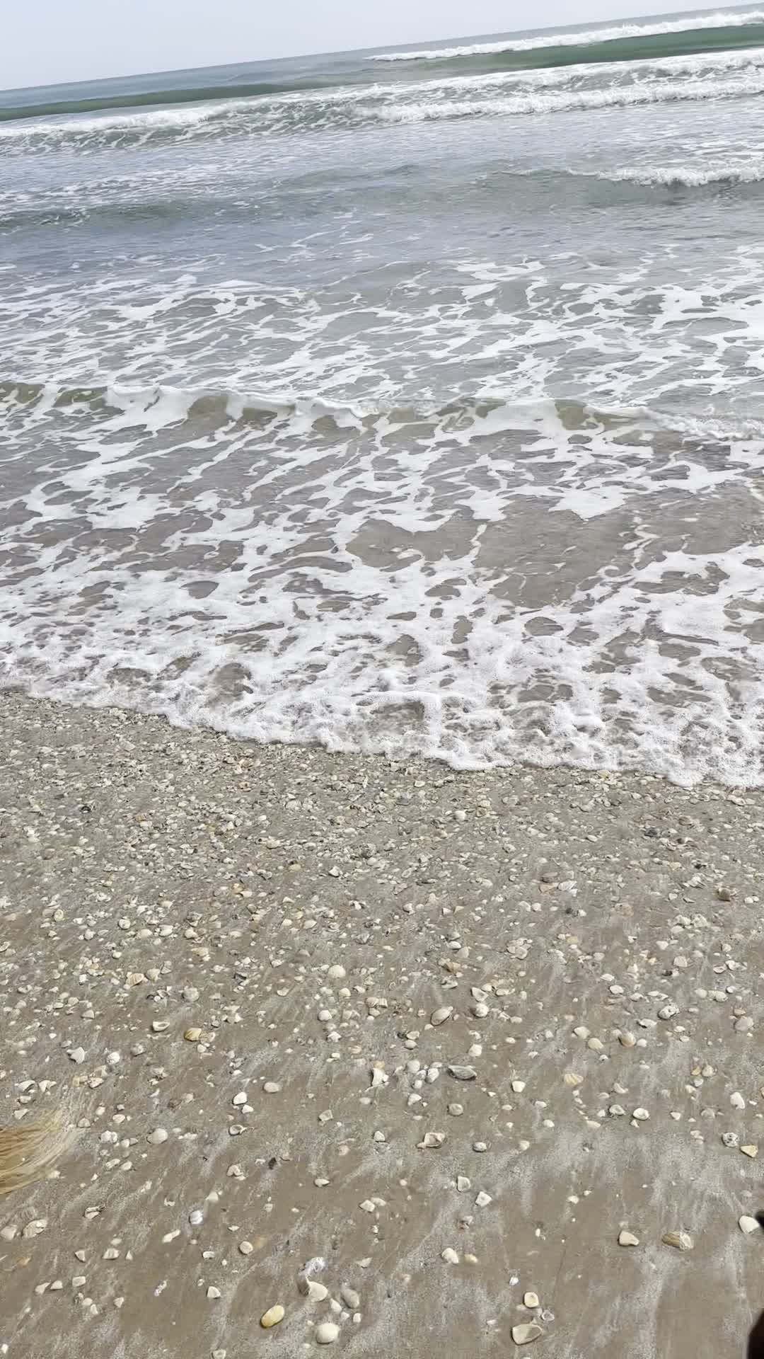Surf's Up, 5600 Padre Blvd, South Padre Island, TX 78597