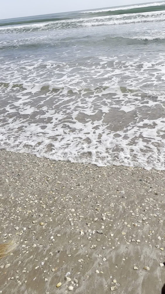 Surf's Up, 5600 Padre Blvd, South Padre Island, TX 78597