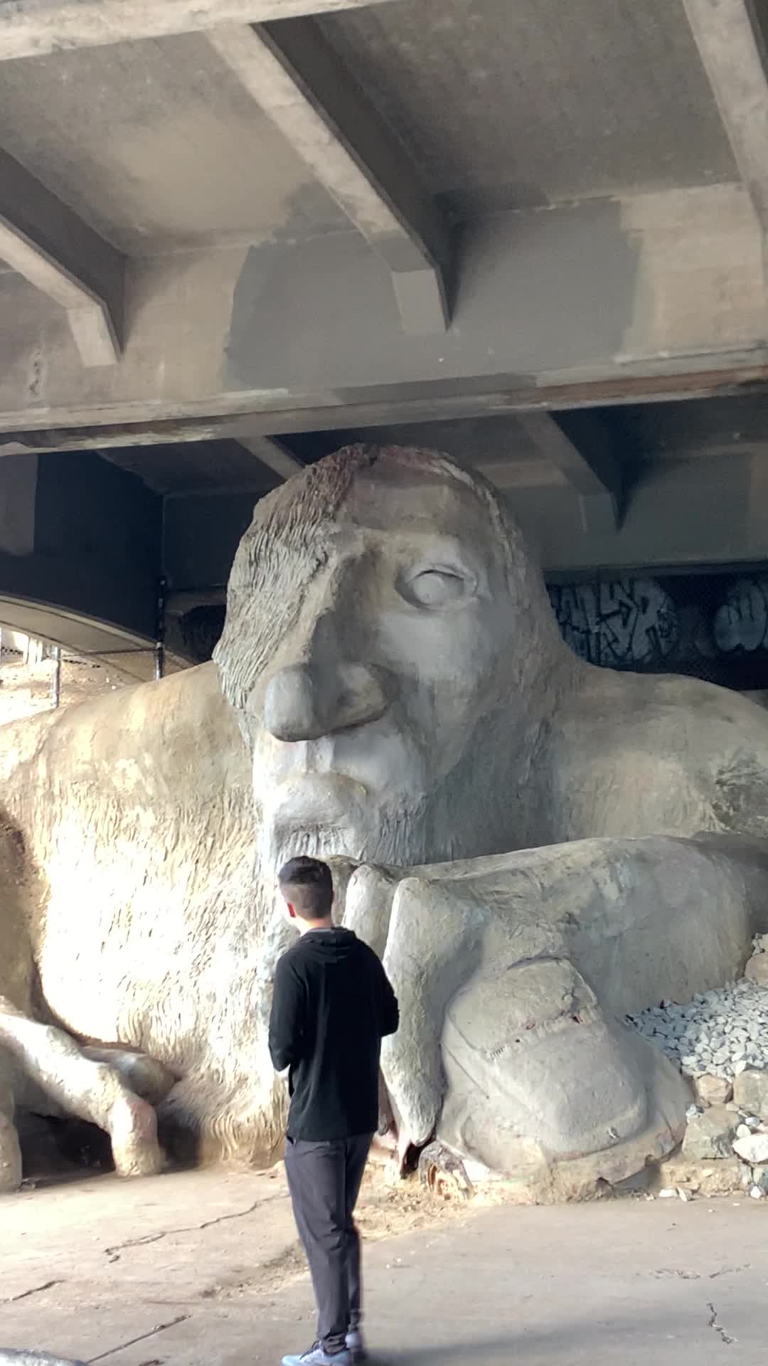 Video review of The Fremont Troll