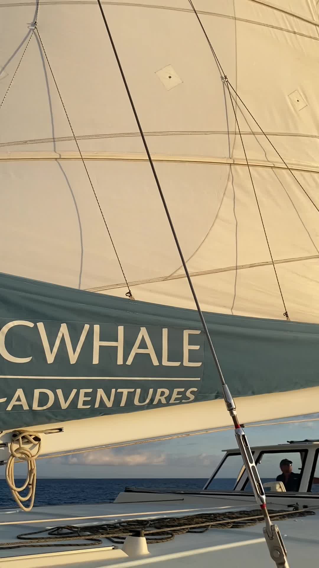 Slip 4 - Pacwhale Eco Adventures